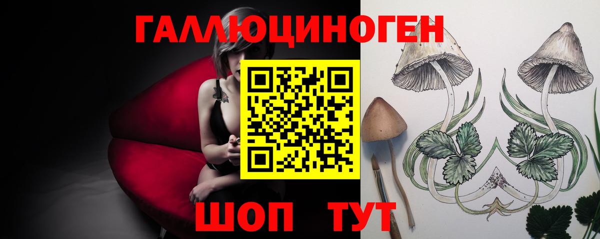 Псилоцибиновые грибы мицелий  Вход с VPN  Озёры 